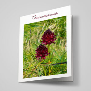 Glückwunschkarte "Männertreu"