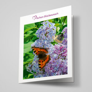 Glückwunschkarte "kleiner Fuchs"