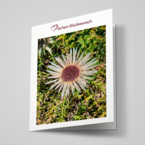 Glückwunschkarte "Silberdistel"
