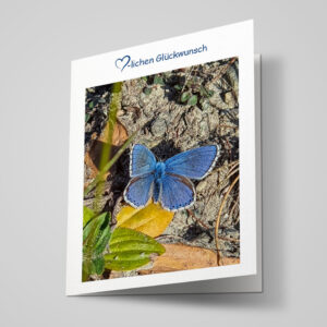 Glückwunschkarte "Bläuling"