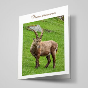 Glückwunschkarte "Steinbock"