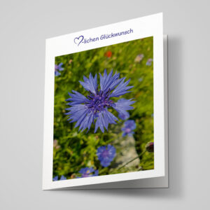 Glückwunschkarte "Kornblume"