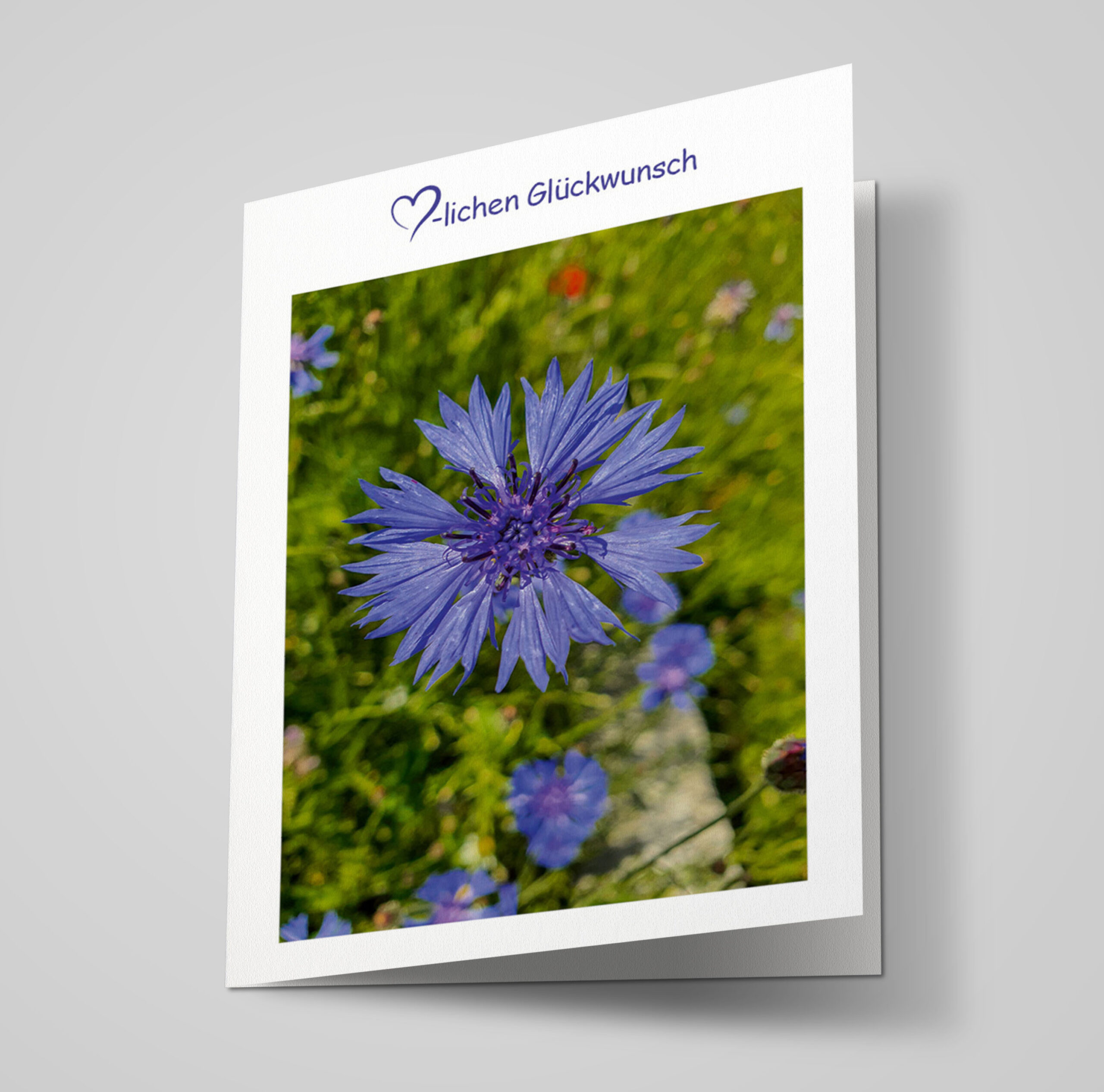 Glückwunschkarte "Kornblume"
