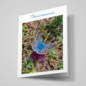 Glückwunschkarte "Bläuling"