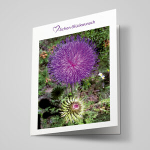 Glückwunschkarte "Distel"