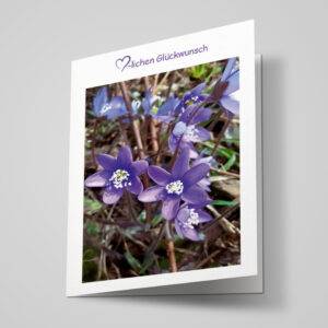 Glückwunschkarte "Leberblümchen"