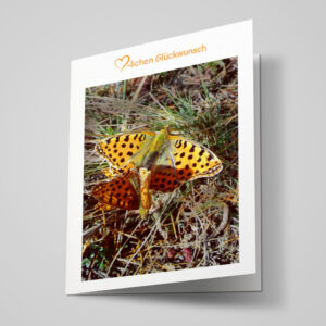 Glückwunschkarte "Perlmuttfalter"