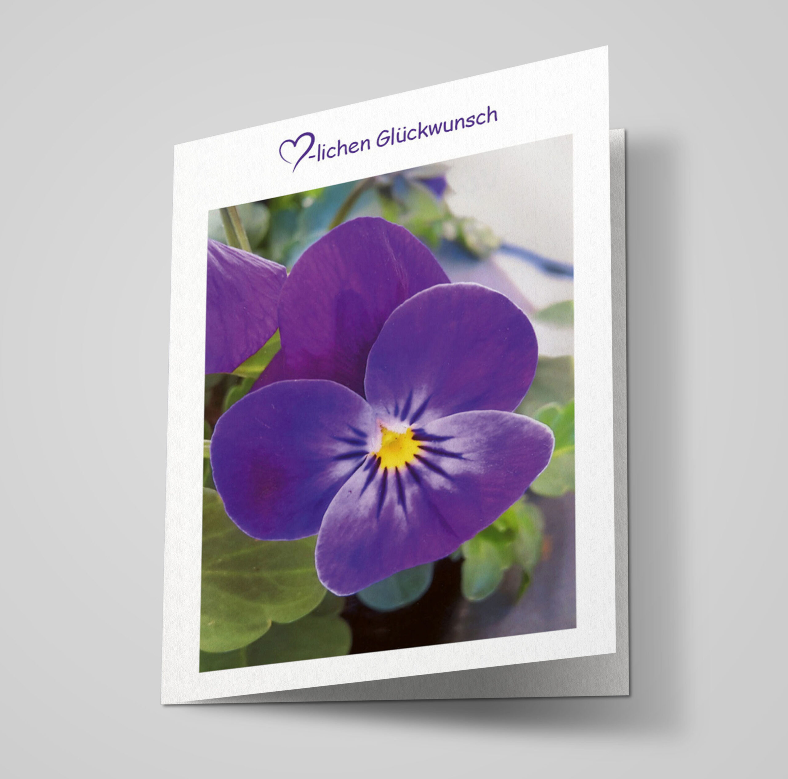 Glückwunschkarte "Veilchen"