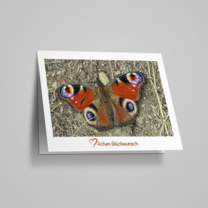 Glückwunschkarte "Tagpfauenauge"