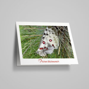 Glückwunschkarte "Apollofalter"