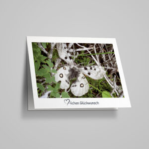 Glückwunschkarte "Apollofalter"