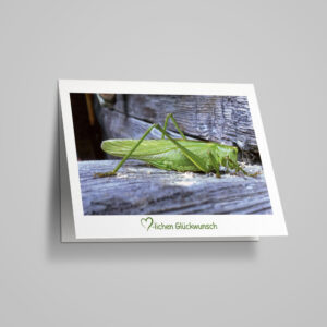 Glückwunschkarte "Grünes Heupferd"