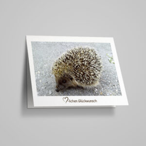 Glückwunschkarte "Igel"