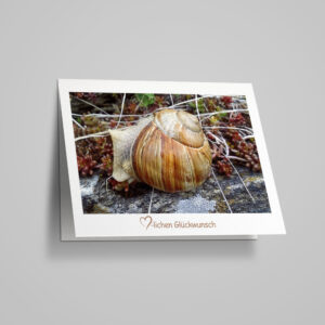 Glückwunschkarte "Weinbergschnecke"