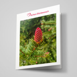 Glückwunschkarte "Fichtenzapfen"