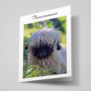 Glückwunschkarte "Schaf"
