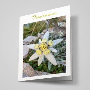 Glückwunschkarte "Edelweiss"