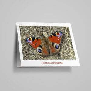 Beileidskarte "Tagpfauenauge"