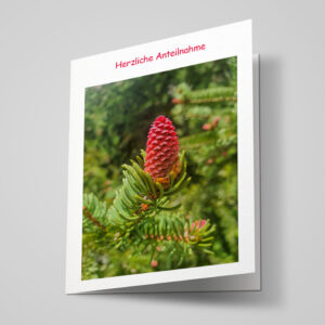 Beileidskarte "Fichtenzapfen"